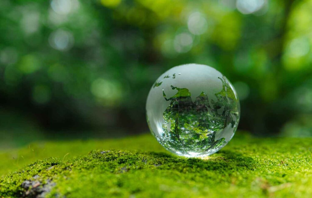 Environmental Advice