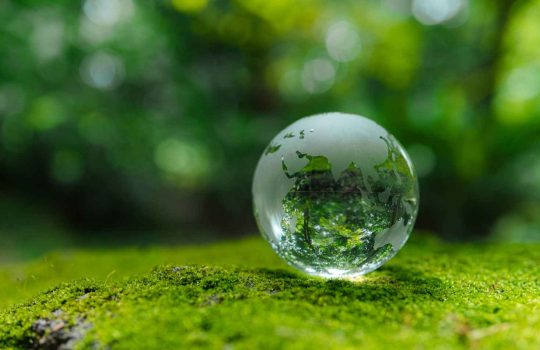 Environmental Advice2